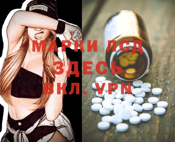 сатива Няндома