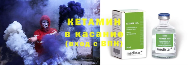 сатива Няндома