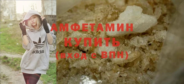 сатива Няндома